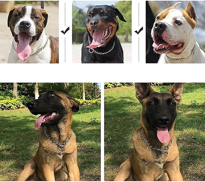 Slip P Training Chain Collar for Dogs, Stainless Steel Puppy Chains Link Durable Martingale Collars for XS Small Medium Large Breed Dog, Silver XXS