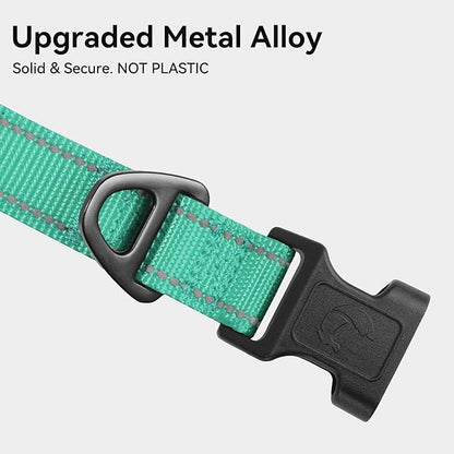 Joytale Reflective Dog Collar, Soft Neoprene Padded, Metal D-Ring, Nylon Pet Collar Adjustable for Medium Dogs, Teal, M