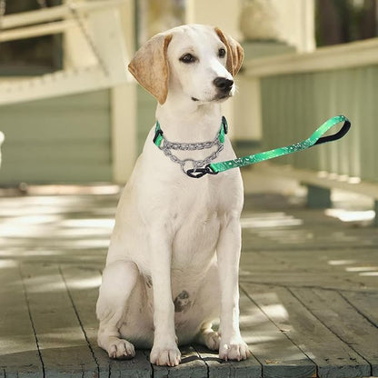 Martingale Dog Collar and Leash Set, Stainless Steel Chain, No Pull Training Collar with Flower Design, for Small, Medium, Large Dogs (NO8, L)