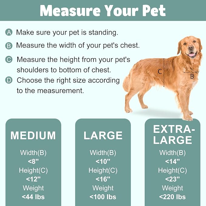 Durable Aluminum Doggy Door - Medium, White, Easy to Install for Middle Dogs & Pets (Adjustable Thickness, M)