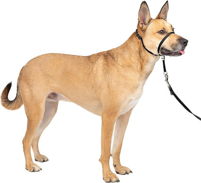 PetSafe Gentle Leader Headcollar No-Pull Dog Collar - Helps Improve Walks - Durable Nylon Construction - Padded Nose Loop - Adjustable Fit - Comfort Walking Halter - Medium, Black