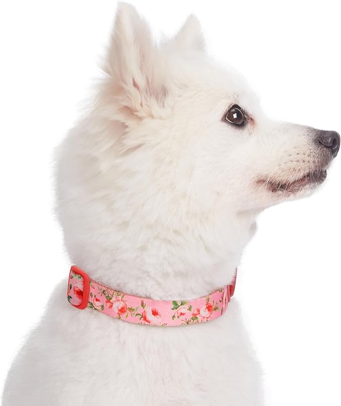 Blueberry Pet 7 Patterns Spring Scent Inspired Pink Dog Collar, Medium, Neck 14.5"-20", Dog Collars, Puppy Collar, Flowers for Dog Collars Girl, Purple Dog Collar, Girl Dog Accessories