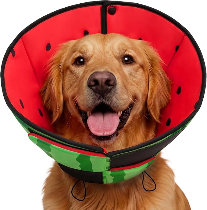 Queenmore XL Dog Cone, Soft Dog Cones for Large Dogs After Surgery, Cone for Dogs to Stop Licking, Pet Elizabethan Collar, Alternative to Recovery Collar for Pets, Watermelon XL