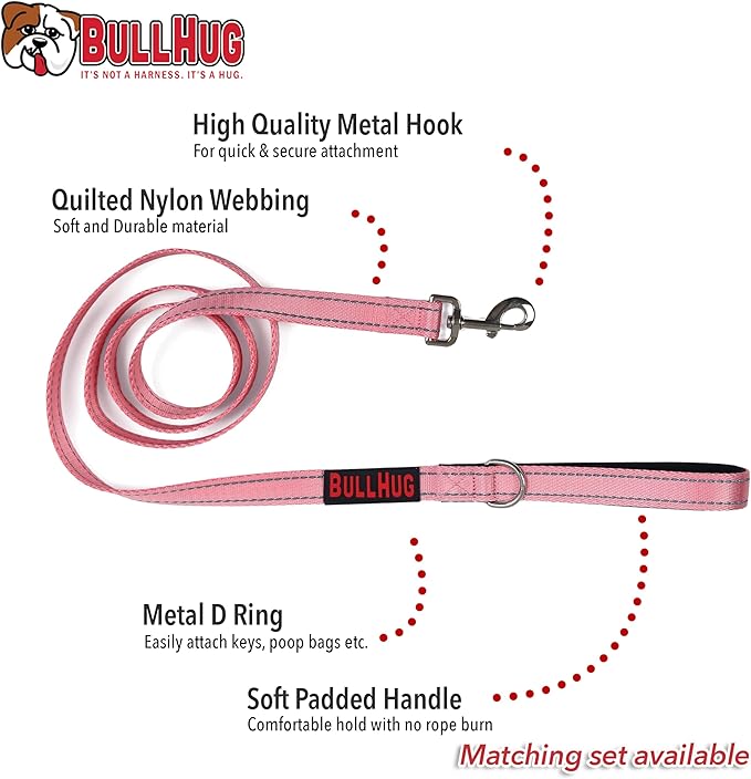 BULLHUG 6 FT Bulldog Leash with Padded Handle. Perfect for Bulldogs, French Bulldogs, Pugs & All Breeds. Leashes for Walking, Training Lead for Bulldogs (Reflective Stitching, Blue)
