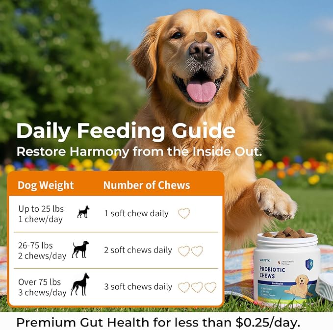 Dog Probiotics Soft Chews with 160mg Pumpkin & Papaya Enzymes – 90 Count – 4-in-1 Gut Support for Scooting Comfort, Stool Consistency & Occasional Gas – Chicken Liver Flavor