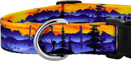 Country Brook Petz - Great Outdoors Everyday Dog Collar and Leash - Sports and Athletics Collection Featuring Spirited Designs (1 Inch, Medium)
