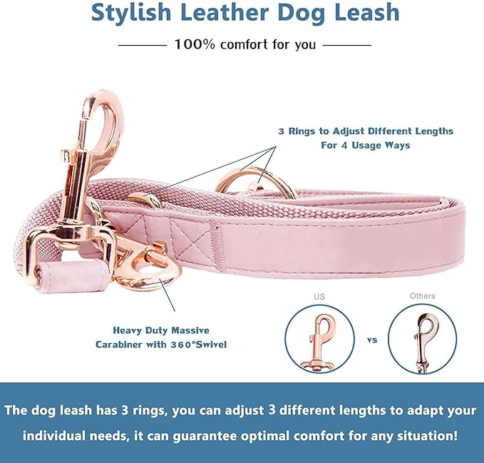 Soft Leather Dog Collar and Leash (6.6') Set - Stylish Rose Gold Heavy Duty Metal Buckle, 4 Adjustable Lengths Leash for Small Medium Large Dogs - Comfortable & Easy to Clean Pink L(15.4"-24.8")