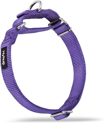 Hyhug Martingale Dog Collar Medium Purple |Escape - Proof Heavy Duty Nylon Durable No Slip, Ideal for Training & Daily Walks