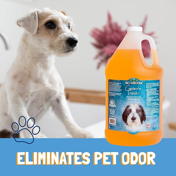 Bio-Groom Groom'n Fresh Dog Shampoo - Odor Eliminating, Dog Bathing Supplies, Puppy Wash, Cat Grooming Supplies, Cruelty-Free, Product Made in USA - 1 Gallon