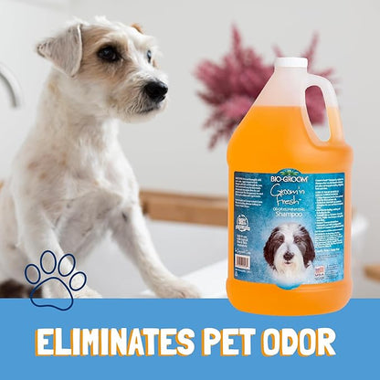 Bio-Groom Groom'n Fresh Dog Shampoo - Odor Eliminating, Dog Bathing Supplies, Puppy Wash, Cat Grooming Supplies, Cruelty-Free, Product Made in USA - 12 fl oz 1-Pack