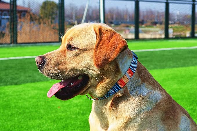 Mihqy Dog Collar with Bohemia Floral Tribal Geometric Patterns - Soft Ethnic Style Collar Adjustable for Small Medium Large Dogs(Bohemian Orange,S)