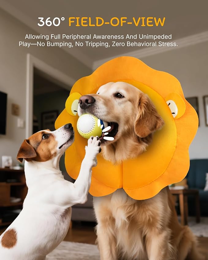 MIDOG Dog Cone Collar for Large Medium Dogs, 1-102D-Lion-M+-2026a