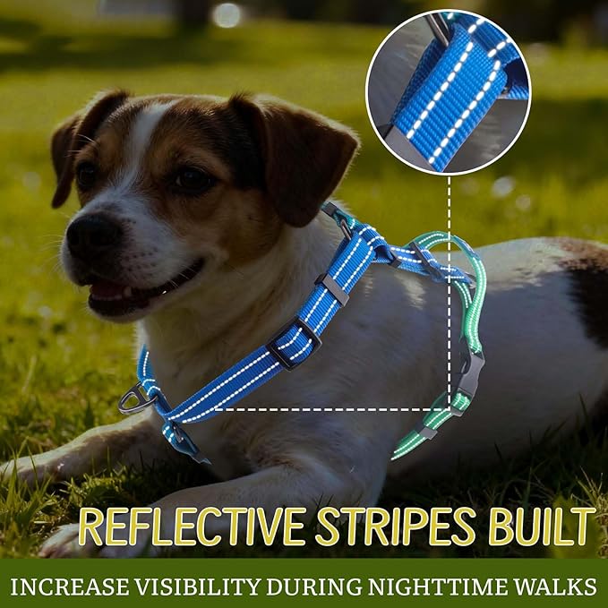 Roses&Poetry Dog Harness for Large Dogs, 6 Point Adjustable Fit No Pull Harness with Handle for Control and Easy Walking, Reflective Pet Halter Harnesses（Bluegreen-L）