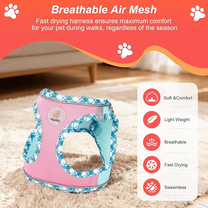 Hipubby Dog Harness Small Sized and Leash Set, No Pull Soft Mesh Puppy Vest, Reflective Breathable Lightweight Pet Harness, Harness for Small Medium Dogs and Cats - Pink Green, XXS