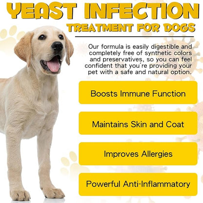 Yeast Infection Treatment for Dogs, Natural Yeast Infection Treatment Supports Dog Itch Relief, Dog Ear Infection, Dog Allergy Relief, Pet Supplies Dog Herbal Supplement, Bacon Flavor - 2 oz