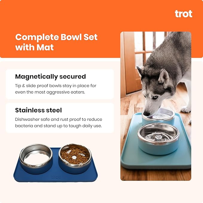 Trot Pets Premium Dog Bowls | Stainless Steel Bowl Set for Small, Medium, or Large Dogs | Non-Slip Food and & Water Slow Feeder | Durable, BPA-Free, Anti-Skid, Dishwasher Safe (Sky, Medium)
