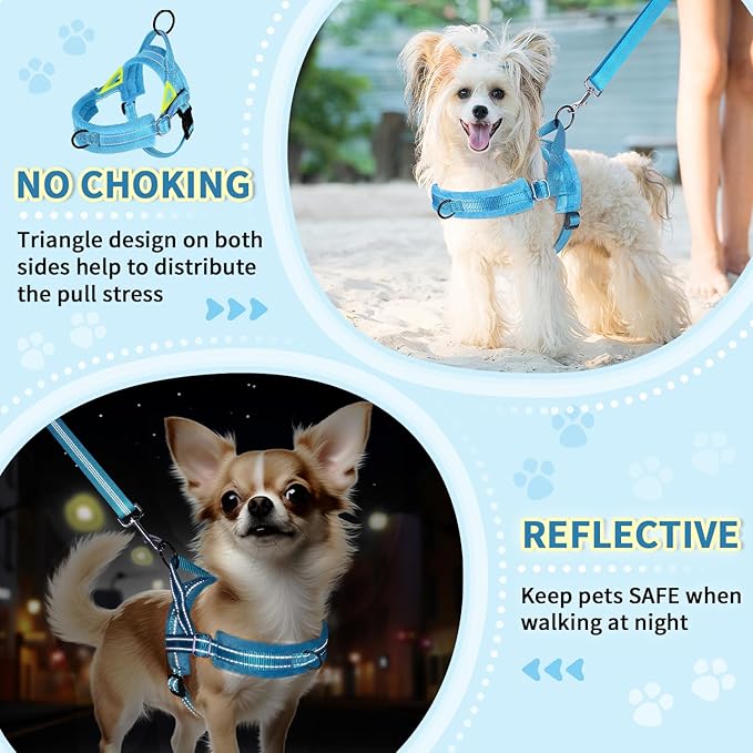 Lukovee No Pull Dog Harness and Leash Set, Soft Padded Small Dog Harness, Neck & Chest Adjustable Reflective Vest Puppy Harness with 4ft Lightweight Anti-Twist Dog Leash for Small Dogs (LBL, S)