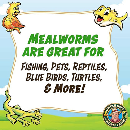 Uncle Jim's Worm Farm 3000 Count Mealworms for Reptiles and Chickens | Mealworms for Feeding Lizard, Gecko, Bearded Dragons, Chickens, Birds, and More | Suitable for Fishing Bait