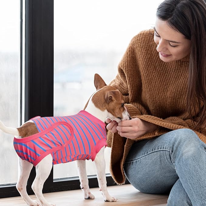 Dog Surgery Recovery Suit, Recovery Shirt for Male Female Dog Cats, Cone E-Collar Alternative Abdominal Wounds Spay Bandages Onesie, Anti-Licking Pet Surgical Recovery Suit,Pink Large