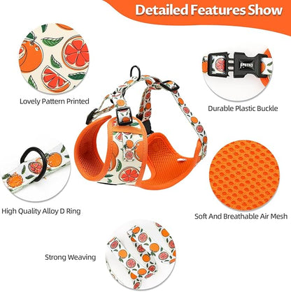 Small Dog Harness and Leash Set of 6, No Pull Soft Lightweight Mesh Puppy Harness， Adjustable Cute Floral Pattern Pet Harness for Small Medium Dogs (Orange, L)
