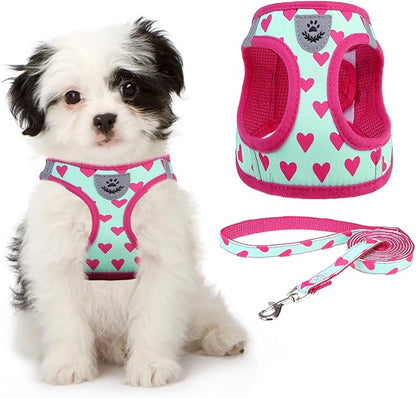 KOOLTAIL Valentines Dog Harness and Leash Set for Small Medium Dogs, Step in No Pull Soft Mesh Dog Harness Padded Pet Vest, Adjustable Reflective Easy Walking Puppy Harnesses Training, Pink Heart XS