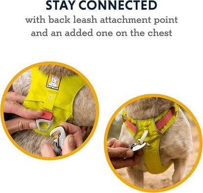 Ruffwear, Hi & Light, Everyday Lightweight Dog Harness, Trail Running, Walking, Hiking, All-Day Wear, Alpenglow Pink, Medium