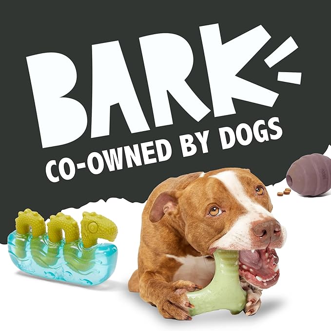 Barkbox Jitter Pug Coffee Bean Dog Toy for Medium Dogs, Hidden Surprise Toy Inside for Engaged and Excited Playtime Fun