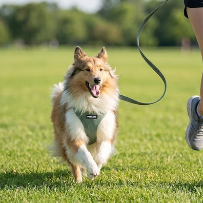 Best Pet Supplies Voyager Step-in Air All Weather Mesh Harness and Reflective Dog 5ft Leash Combo with Neoprene Handle, for Small, Medium and Large Breed Puppies - Set (Moss Green), Large