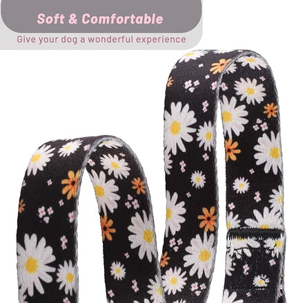QQPETS Adjustable Soft Dog Collar: Print Flower Pink Multicolor Cute Patterns for XS Small Medium Large Pet Girl Boy Puppy Walking Running Training (M, White Daisy)