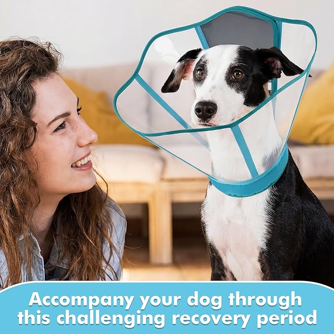 Allroaring Dog Cone Collar After Surgery, Soft Pet Cone for Dogs to Stop Licking, Breathable Pet Recovery Collars & Cones for Medium Dogs, Elizabethan Collar for Wound Care Spay Neuter, Bluegreen M