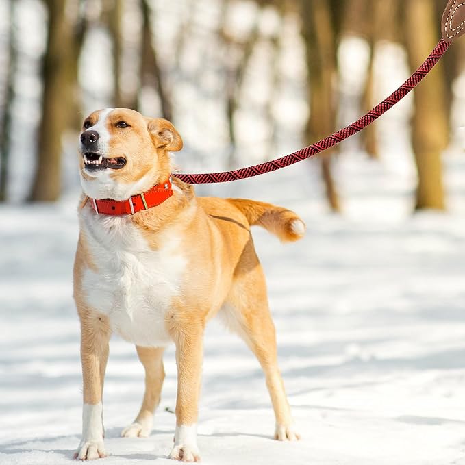 Mile High Life | Mountain Climbing Dog Rope Leash with Heavy Duty Metal Sturdy Clasp | Genuine Leather Tailored Connection with Strong Stitches (Red, 72 Inch (Pack of 1))