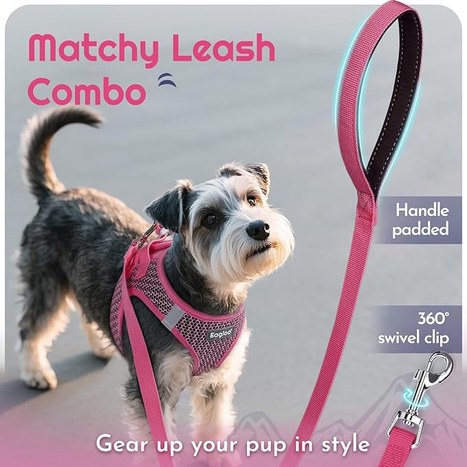 Eagloo Small Dog Harness and Leash Set, Step in Puppy Vest with Breathable Soft Mesh, Walking Reflective Pet Harness for Extra Small Dogs, Rose Red, XXS
