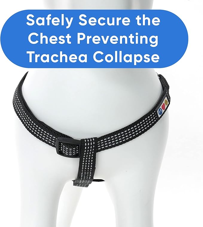 Pawtitas Reflective Step-in Dog Harness – Adjustable No-Pull Vest for Puppies to Seniors, Safe & Comfortable, S Black