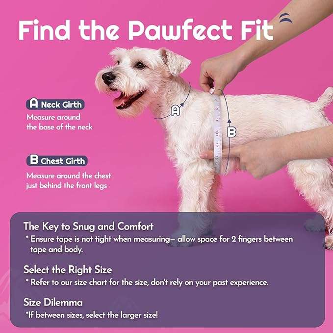 Eagloo Small Dog Harness and Leash Set, Step in Puppy Vest with Breathable Soft Mesh, Walking Reflective Pet Harness for Medium Small Dogs, Pink, M