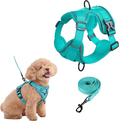 SOLMOONY Small Dog Harness,Soft Mesh Puppy Harness and Leash Set,No Escape Cat Harnesses for Training Walking,Reflective Adjustable Puppy Vest for Small Medium Dogs, Cats (Turquoise, XL)