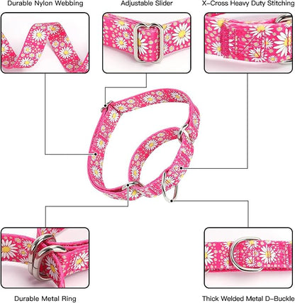 Hot Pink Martingale Dog Collar and Leash Set for Female Dogs, Cute Daisy Pattern Girl Dog Collar, Adjustable Soft Durable Pet Collar with 5ft Matching Leash for Small Medium Large Dogs