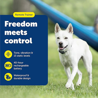 PetSafe 300 Yard Remote Training Collar – Smaller Version for Small or Medium Dogs – Choose from Tone, Vibration, or 15 Levels of Static Stimulation – Medium Range Option for Training Off Leash Dogs