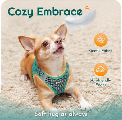 Eagloo Small Dog Harness and Leash Set, Step in Puppy Vest with Breathable Soft Mesh, Walking Reflective Pet Harness for Small Dogs, Forest Green, M