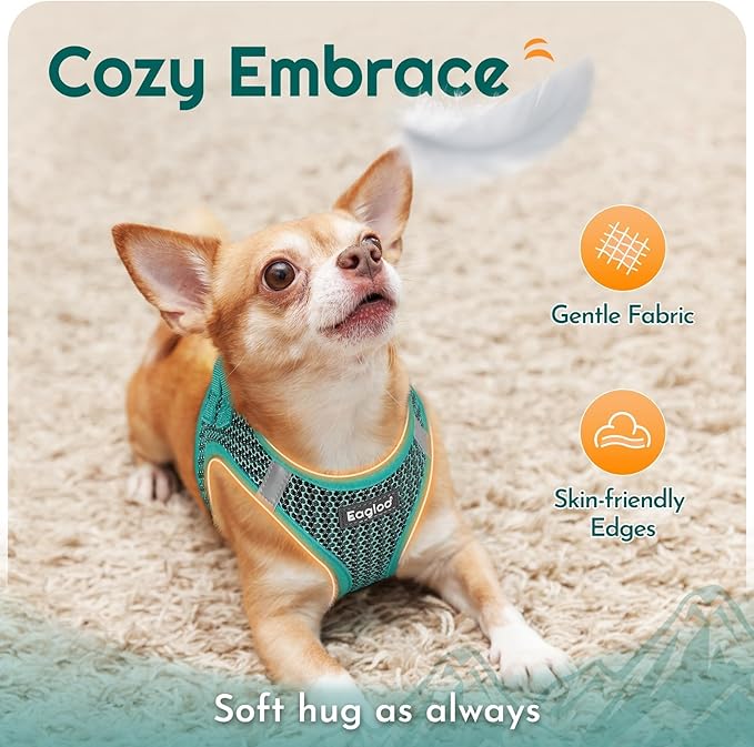 Eagloo Small Dog Harness and Leash Set, Step in Puppy Vest with Breathable Soft Mesh, Walking Reflective Pet Harness for Small Dogs, Forest Green, XS