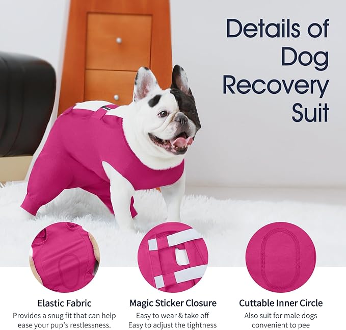IECOii Dog Surgery Recovery Suit for Female Or Male Dogs,Post Surgery Dog Onesies for Spay Neuter,Small Dog Surgical Suit for Abdominal Wound and Rear Leg,Dogs E-Collar & Cone Alternative,S-Rosered