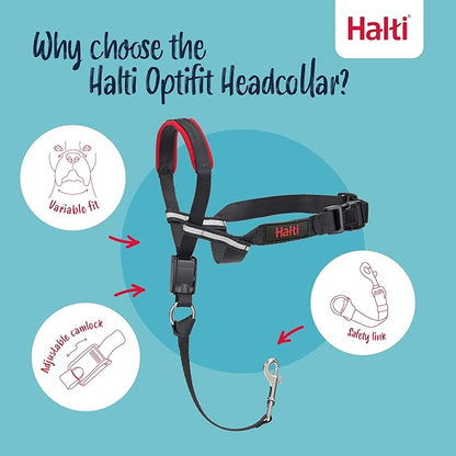 Halti Optifit Headcollar & Halti Training Leash Size Large, Black Combination Pack - Stop Your Dog Pulling on the Leash. Adjustable with Padded Nose Band. Suitable for Large Dogs