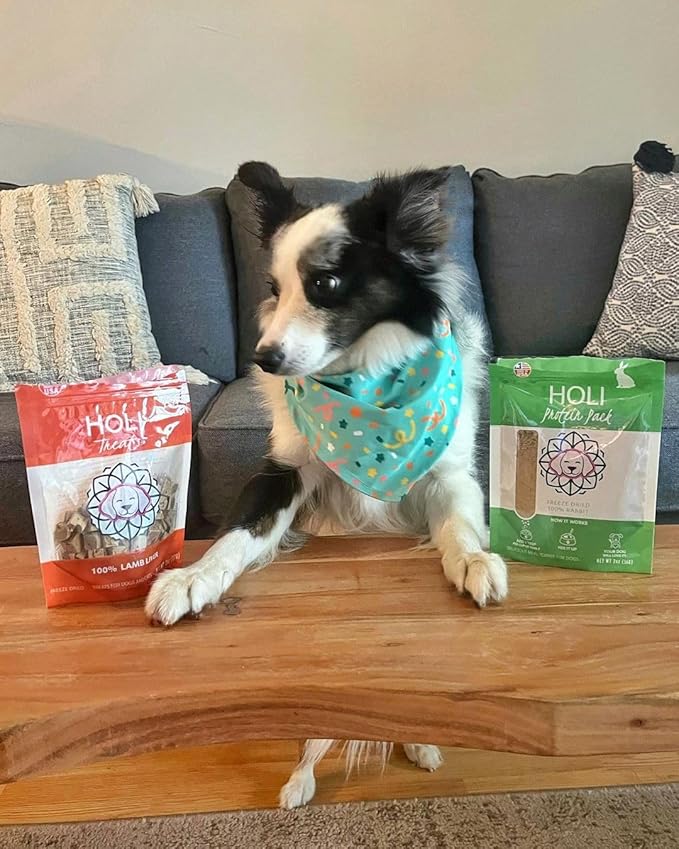 HOLI Rabbit Dog Food Topper – Freeze Dried Rabbit Dog Topper for Dry Food – Single Ingredient, Human-Grade Meal Topper for Picky Dogs – Grain Free & All Natural - 2oz