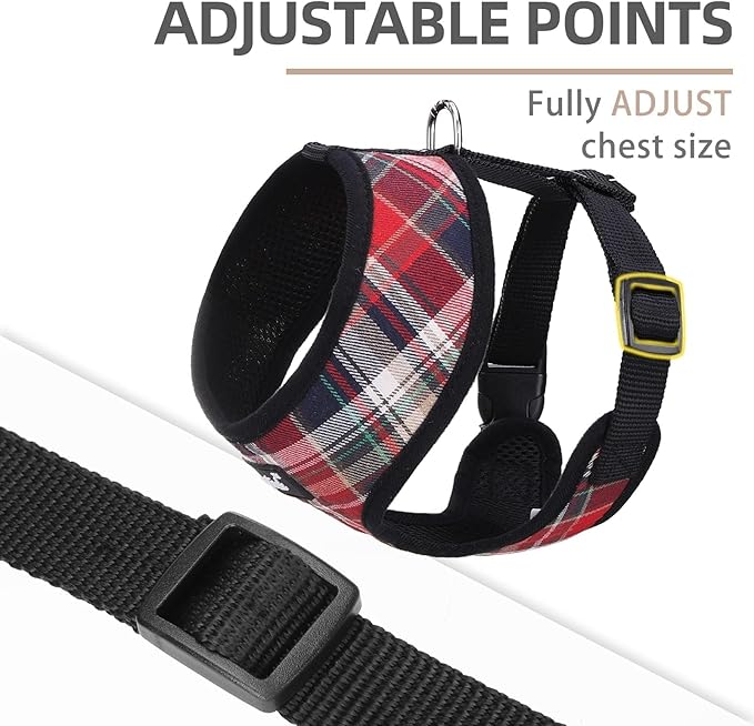 PUPTECK Soft Mesh Dog Harness and Leash Set Pet Puppy Cat Comfort Padded Vest No Pull Harnesses, Red Mixed, XS