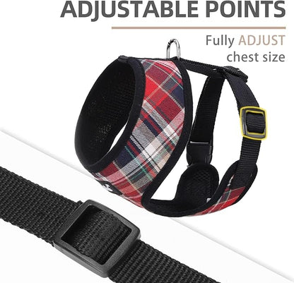 PUPTECK Soft Mesh Dog Harness and Leash Set Pet Puppy Cat Comfort Padded Vest No Pull Harnesses, Red Mixed, XS