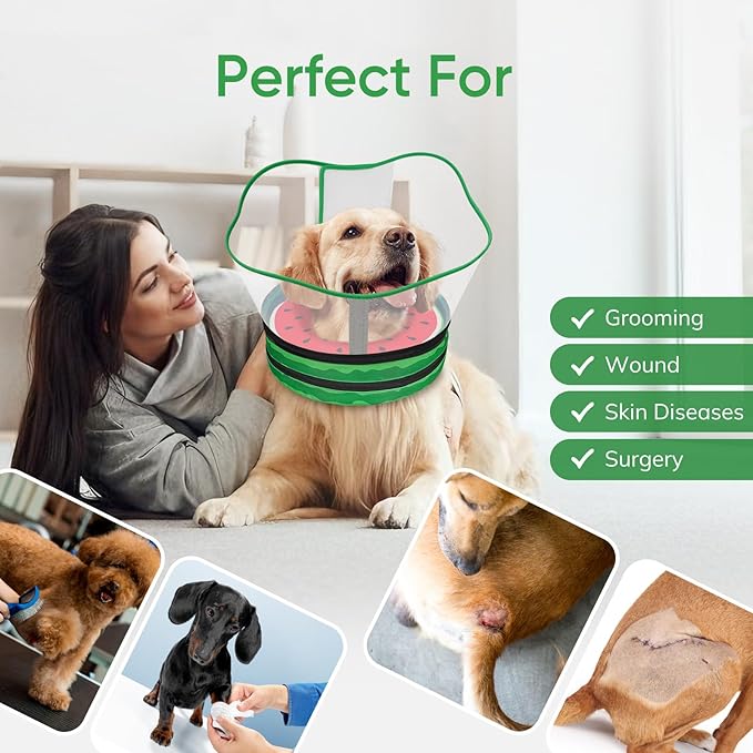 Sponge Dog Cone Collar, Dog Recovery Collar Alternative with Detachable High Clear Shield, Adjustable Soft Neck Cone for Small Medium Large Dogs, Stop Licking After Surgery (Watermelon,XL)