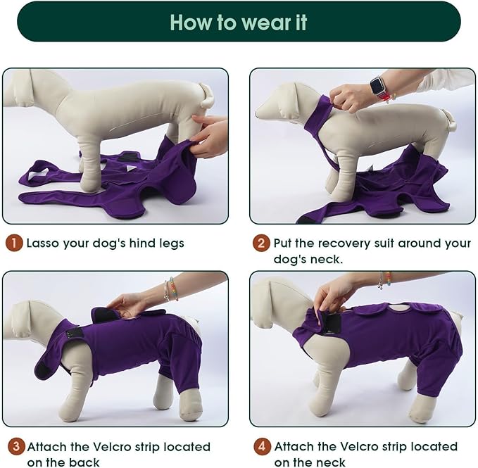 Kuoser Thigh Wound Protective Sleeve for Dogs, Dog Surgery Recovery Suit for Rear Legs, Dog Recovery Sleeve for Female Male Dogs, Dog Onesie After Surgery Pet Surgical Suit for Spay Neuter, Purple XS