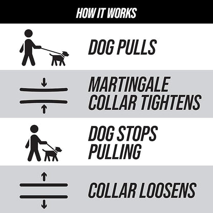Leashboss Martingale Collar for Dogs | Reflective Nylon Dog Collar for Large Dogs, Medium and Small Dogs | No Pull Pet Training Collar Small | Quick Release Buckle, Adjustable Pet Collar