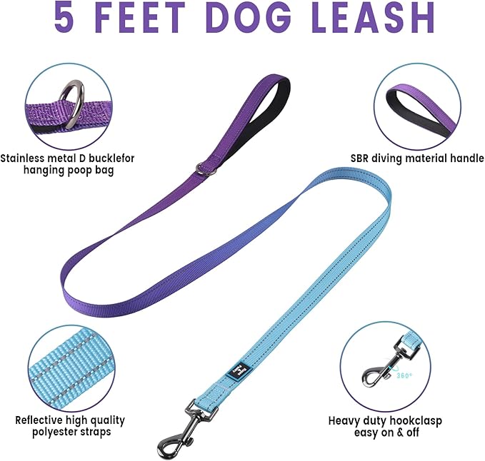 Roses&Poetry Puppy Dog Harness and Leash Set, No Pull Dog Harness Adjustable Reflective, Dog Halter Harnesses Comfort Padded Handle, Pet Harness for Training Outdoor Walking（Gsky-XS