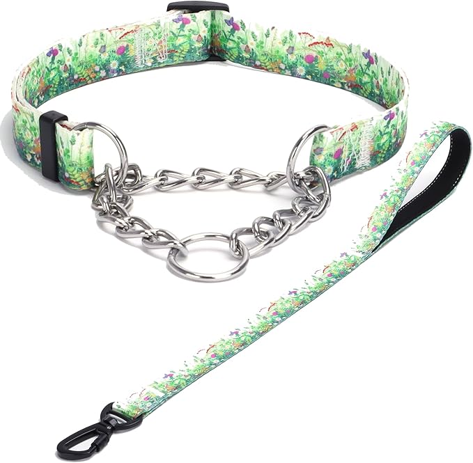 Martingale Dog Collar with Stainless Steel Chain - Limited Chain Cinch Training Collar for No Pull Training Dog - Flower Multicolor Cute Patterns - Premium No Slip Collar (S, Grass Set)