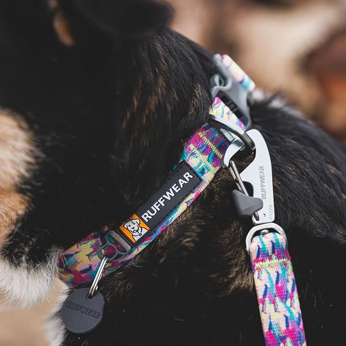 Ruffwear, Front Range Dog Collar, Adjustable Tubelok Webbing, Lightweight, Side Release Buckle, Aluminum V-Ring, Durable for Everyday Use, Wildflower, 20"-26"